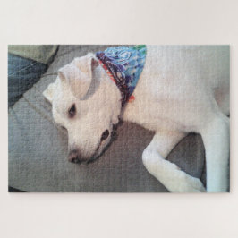 Puzzle Chose drôle Chien Chien Chien Chien Blanc Brooing