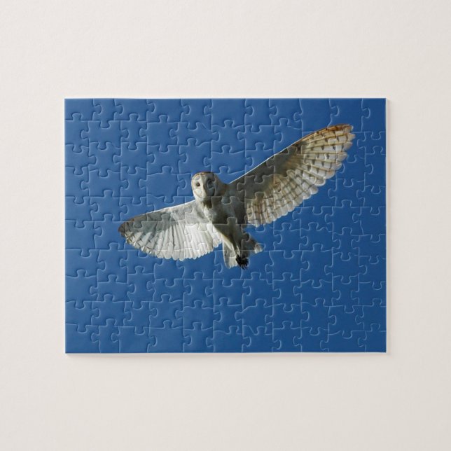 Puzzle Chouette à l'étable en vol diurne (Horizontal)