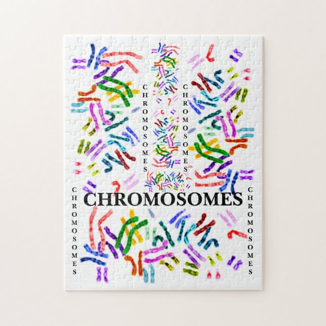 Puzzle Chromosomes Challenging Amusement pour les 10 ans  (Vertical)