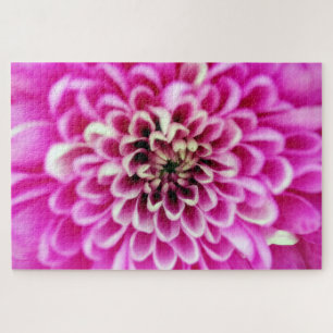 Puzzle Chrysanthème rose doux