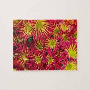 Puzzle Chrysanthèmes rouge et jaune Photo