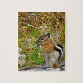 Puzzle Chubby mignon chipmunk sur la souche de bois