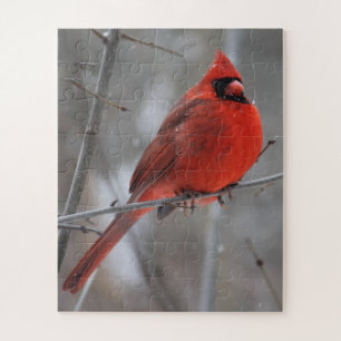 Puzzle Chunky Bright Red Male Cardinal in Winter Snow