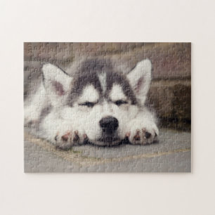 Puzzle Chuppy Husky Sleeping