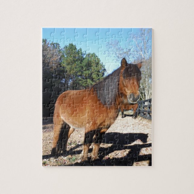 Puzzle Ciel turquoise de poney Brown (Vertical)