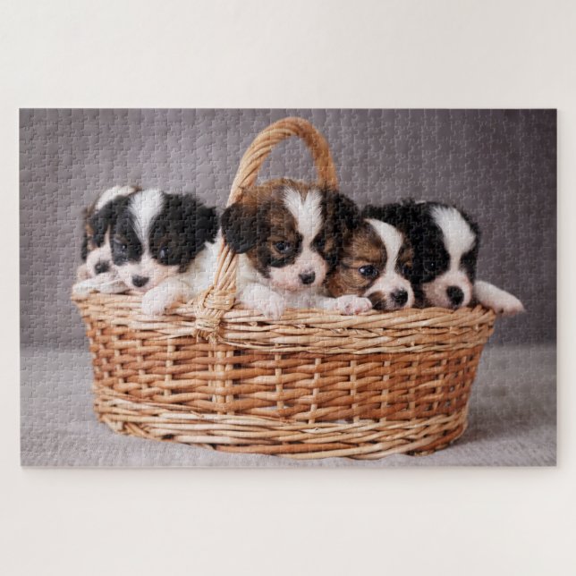 Puzzle Cinq mignons chiots dans un panier (Horizontal)