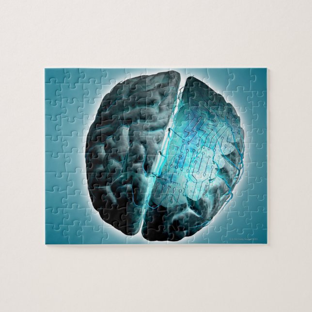 Puzzle Circuit Board Brain 2 (Horizontal)