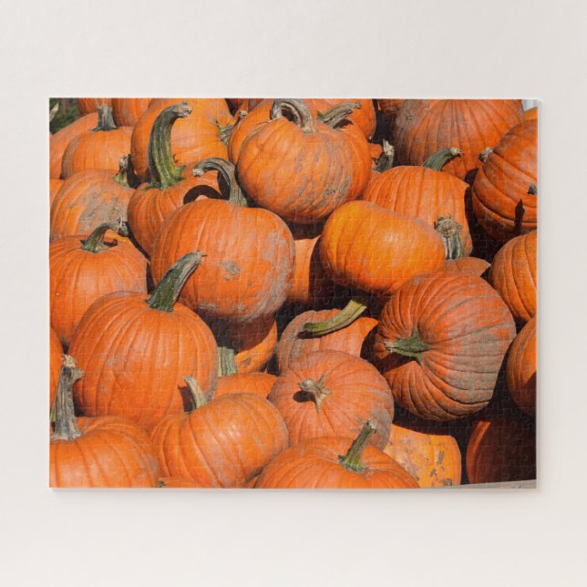 Puzzle Citrouille, Citrouille, Citrouille - 16x20 - 520 p (Horizontal)