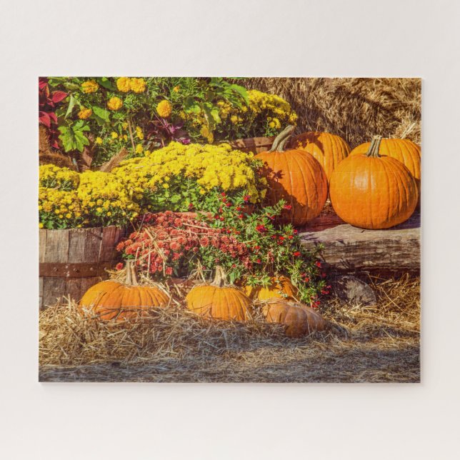Puzzle Citrouilles dans l'automne (Horizontal)