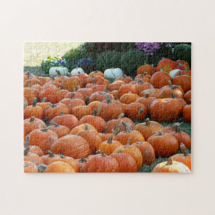 Puzzle Citrouilles et Chrysanthèmes Photographie de la ré