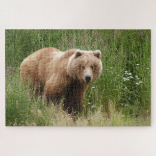 Puzzle Closeuse d'ours, Brooks Falls Alaska