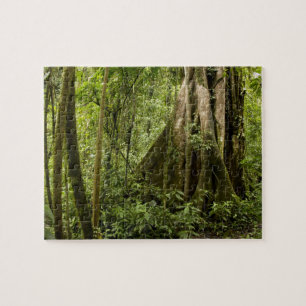 Puzzle Cloud forest, Peace Rain Forest, Costa Rica