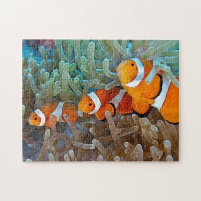 Puzzle Clownfish (Horizontal)