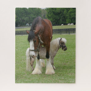 Puzzle Clydesdale debout au-dessus de Miniature Pony