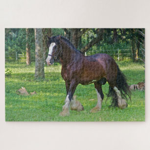 Puzzle Clydesdale Horse