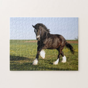 Puzzle Clydesdale Horse