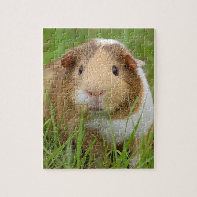 Puzzle Cobaye domestique mignon (Vertical)