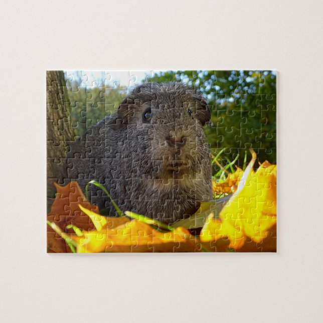 Puzzle Cobaye mignon en nature (Horizontal)