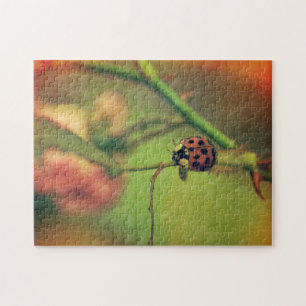 Puzzle Coccinelle