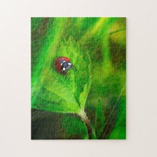 Puzzle Coccinelle dans la nature verte