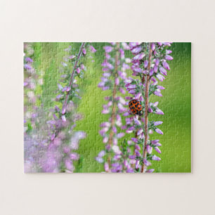 Puzzle Coccinelle sur des fleurs violettes