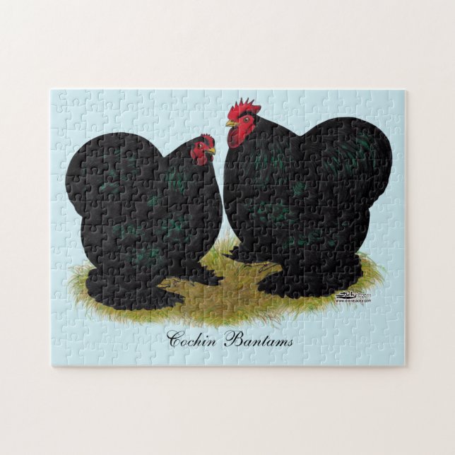Puzzle Cochins Black Bantam paire (Horizontal)