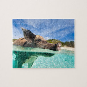 Puzzle Cochon de natation d'Exuma