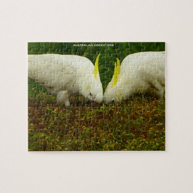 Puzzle Cockatoos australiens (Horizontal)