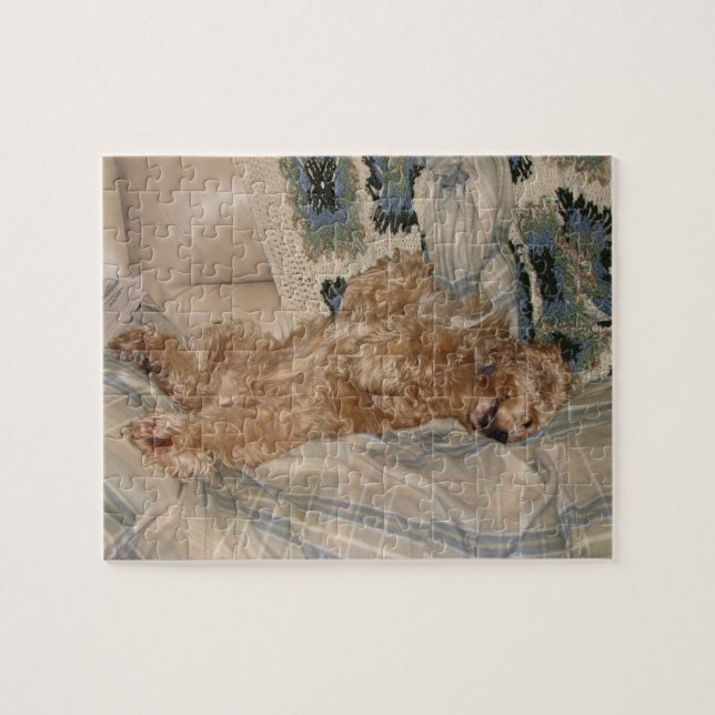 Puzzle Cocker Lounging (Horizontal)