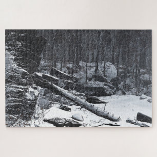 Puzzle Coda (hiver)