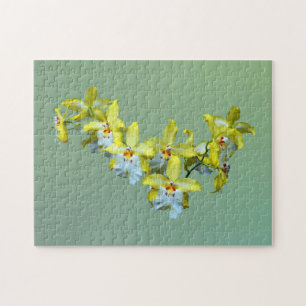 Puzzle Coeur d'orchidées Vuylstekeara jaune et blanc