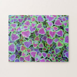 Puzzle Coleus bordeaux retombant