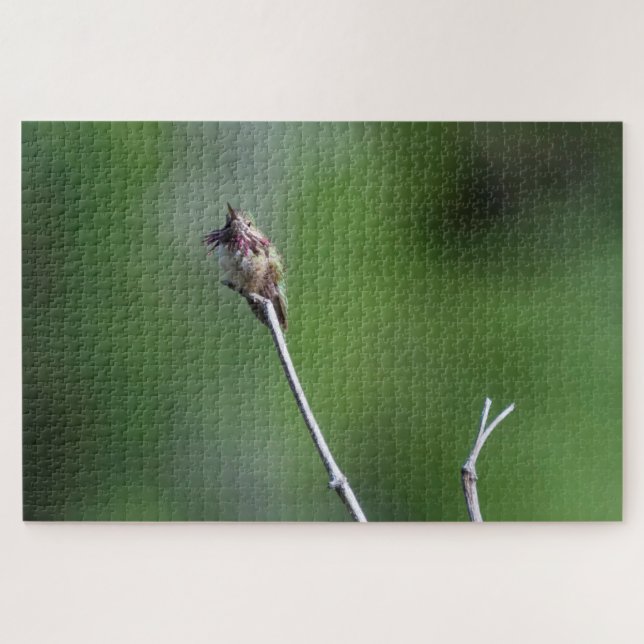 Puzzle Colibri (Horizontal)