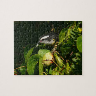 Puzzle Colibri à gorge noire mangeant Photographie tropic