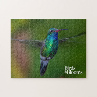 Puzzle Colibri de flottement