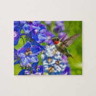 Puzzle Colibri Et Delphinium