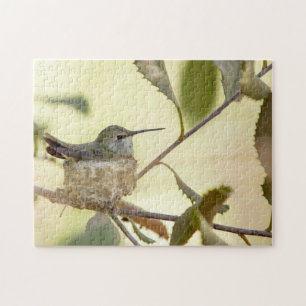 Puzzle Colibri femelle sur son nid