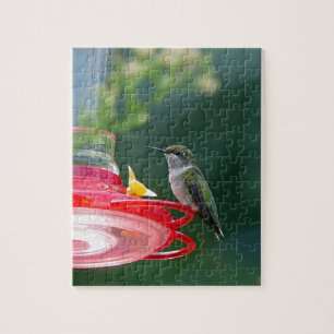 Puzzle Colibri perché