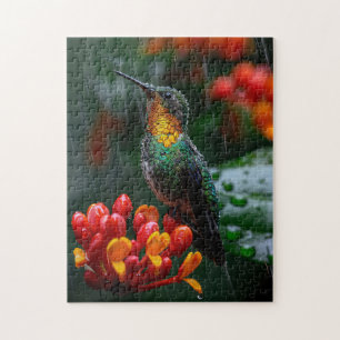 Puzzle Colibri perché sur une fleur vive
