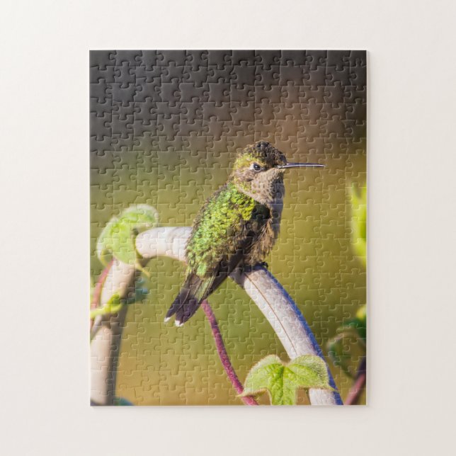 Puzzle Colibri posé sur un treillis (Vertical)