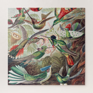 Puzzle Colibri, Trochilidae Kolibris par Ernst Haeckel
