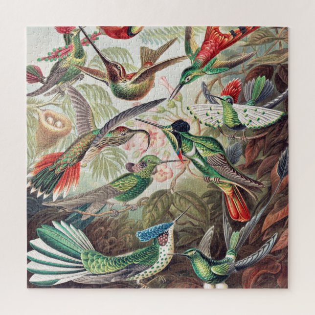 Puzzle Colibri, Trochilidae Kolibris par Ernst Haeckel (Vertical)
