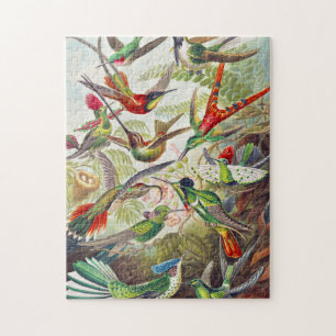 Puzzle Colibri Vintage par Ernst Haeckel