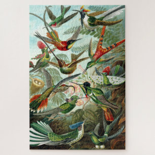 Puzzle Colibri vintage par Ernst Haeckel