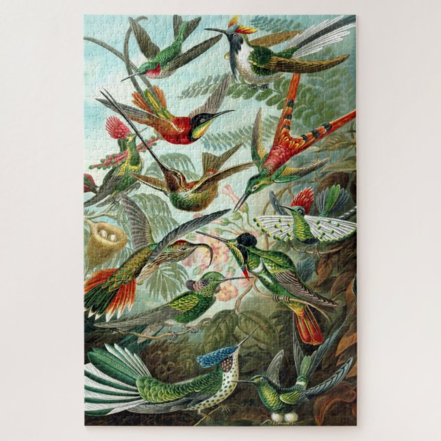 Puzzle Colibri vintage par Ernst Haeckel (Vertical)