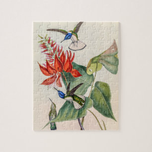 Puzzle Colibri vintage par John Gould