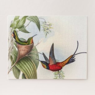 Puzzle Colibri vintage par John Gould