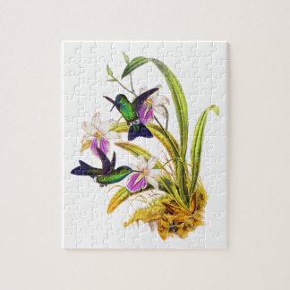 Puzzle Colibris et orchidées pourpres