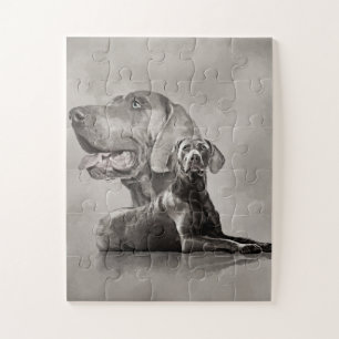 Puzzle Collage de chiens Weimaraner #2