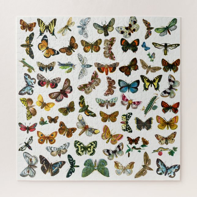 Puzzle Collage papillon, papillon et chenille Jigsaw Puz (Vertical)